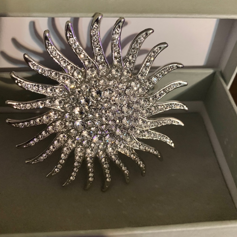 CAbi Signature Star Brooch.